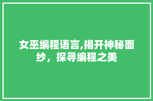 女巫编程语言,揭开神秘面纱，探寻编程之美
