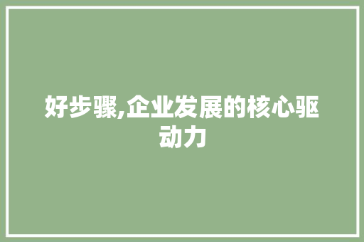 好步骤,企业发展的核心驱动力