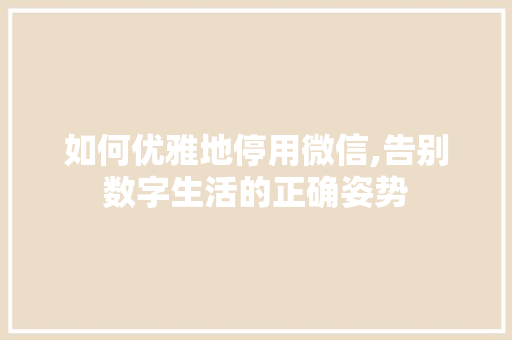 如何优雅地停用微信,告别数字生活的正确姿势 友链在线