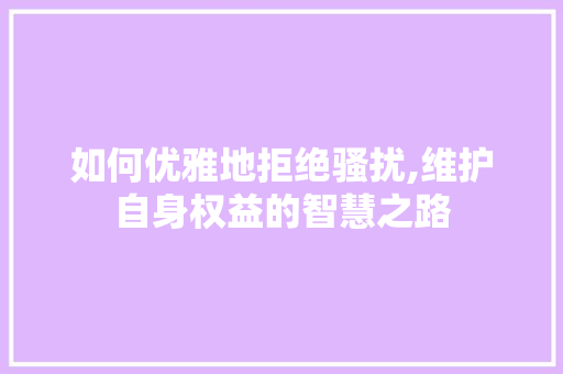 如何优雅地拒绝骚扰,维护自身权益的智慧之路