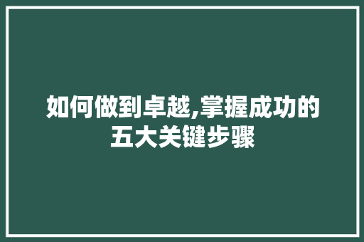 如何做到卓越,掌握成功的五大关键步骤