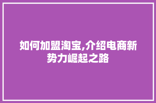 如何加盟淘宝,介绍电商新势力崛起之路