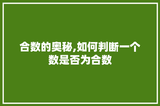 合数的奥秘,如何判断一个数是否为合数