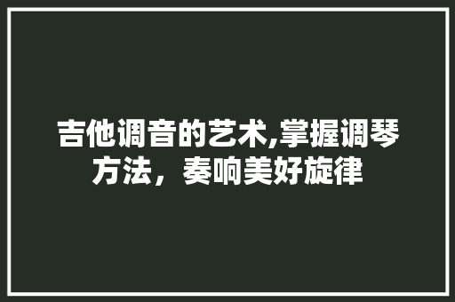 吉他调音的艺术,掌握调琴方法，奏响美好旋律