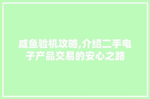咸鱼验机攻略,介绍二手电子产品交易的安心之路