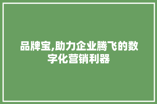品牌宝,助力企业腾飞的数字化营销利器
