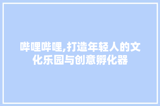 哔哩哔哩,打造年轻人的文化乐园与创意孵化器 建站教程