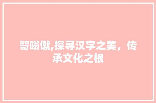 哿嗡僦,探寻汉字之美，传承文化之根