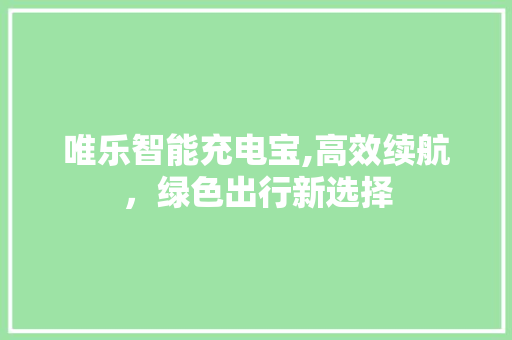 唯乐智能充电宝,高效续航，绿色出行新选择