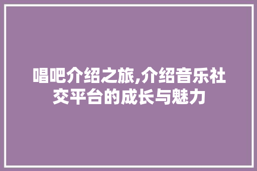 唱吧介绍之旅,介绍音乐社交平台的成长与魅力
