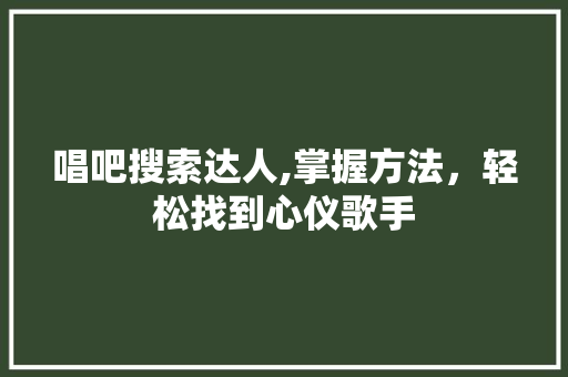 唱吧搜索达人,掌握方法，轻松找到心仪歌手