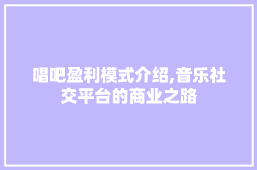 唱吧盈利模式介绍,音乐社交平台的商业之路 WordPress教程