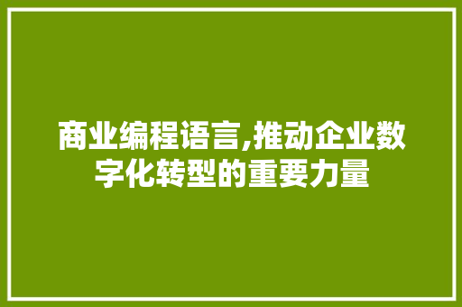 商业编程语言,推动企业数字化转型的重要力量