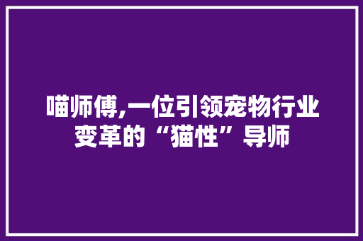 喵师傅,一位引领宠物行业变革的“猫性”导师