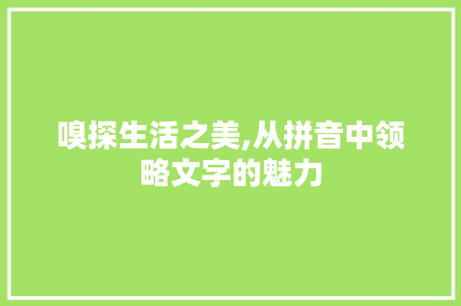 嗅探生活之美,从拼音中领略文字的魅力