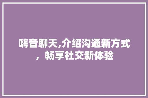 嗨音聊天,介绍沟通新方式，畅享社交新体验