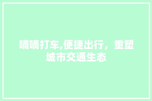 嘀嘀打车,便捷出行，重塑城市交通生态