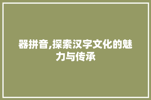 器拼音,探索汉字文化的魅力与传承 SEO教程
