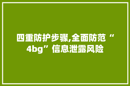 四重防护步骤,全面防范“4bg”信息泄露风险 SEO教程
