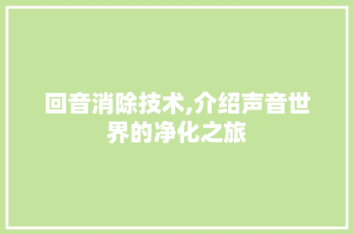 回音消除技术,介绍声音世界的净化之旅