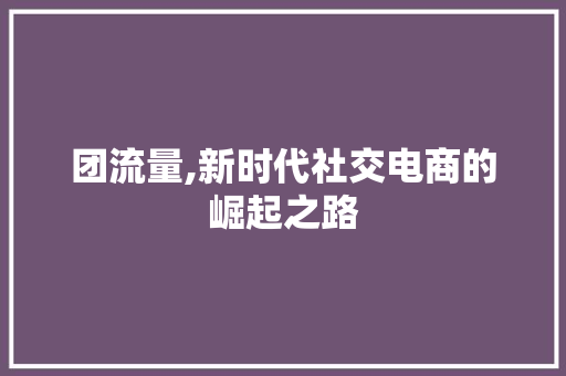 团流量,新时代社交电商的崛起之路