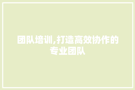 团队培训,打造高效协作的专业团队