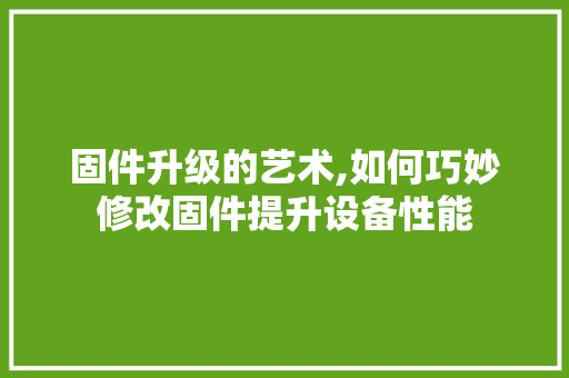固件升级的艺术,如何巧妙修改固件提升设备性能
