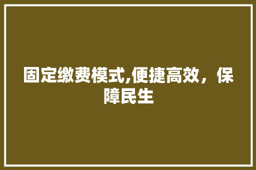 固定缴费模式,便捷高效，保障民生 Web前端