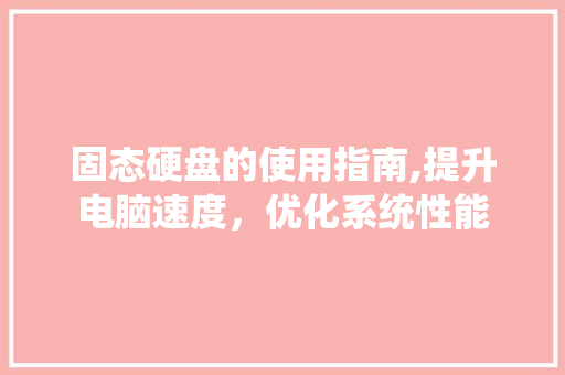 固态硬盘的使用指南,提升电脑速度，优化系统性能