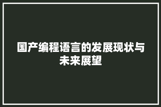 国产编程语言的发展现状与未来展望