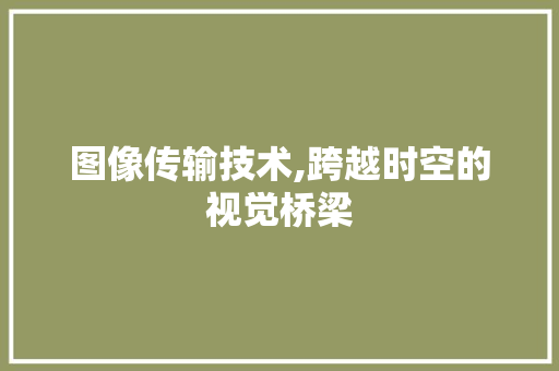 图像传输技术,跨越时空的视觉桥梁 SEO教程