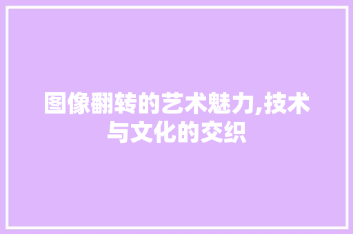 图像翻转的艺术魅力,技术与文化的交织