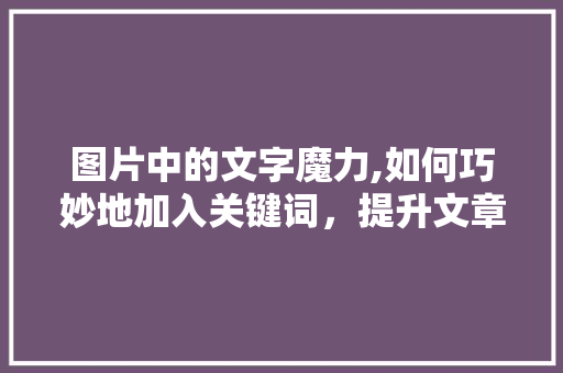 图片中的文字魔力,如何巧妙地加入关键词，提升文章吸引力