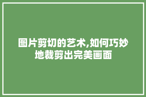 图片剪切的艺术,如何巧妙地裁剪出完美画面 友链在线