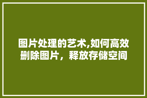 图片处理的艺术,如何高效删除图片，释放存储空间