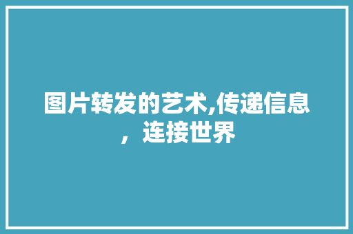 图片转发的艺术,传递信息，连接世界