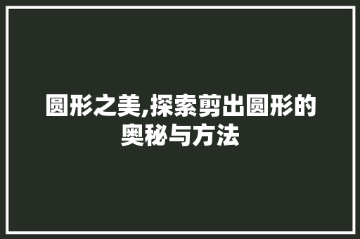 圆形之美,探索剪出圆形的奥秘与方法