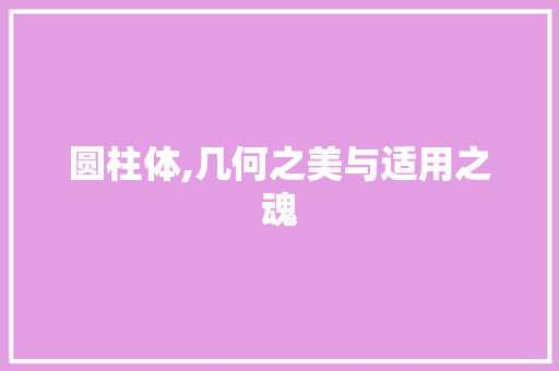 圆柱体,几何之美与适用之魂 建站教程