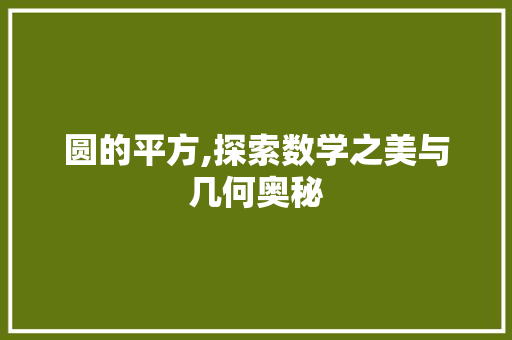 圆的平方,探索数学之美与几何奥秘