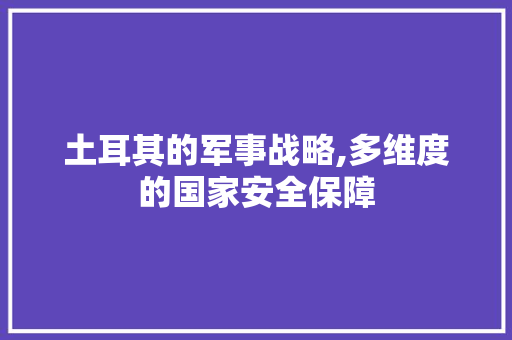 土耳其的军事战略,多维度的国家安全保障