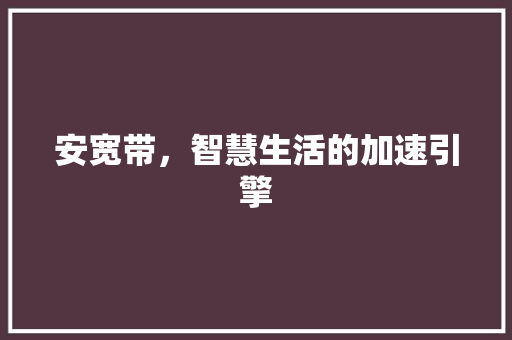 安宽带，智慧生活的加速引擎