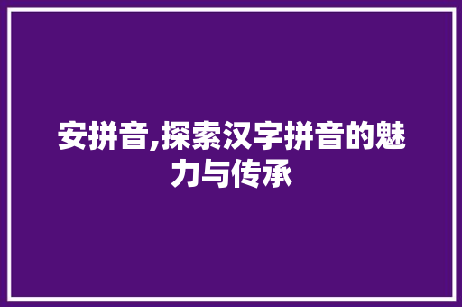 安拼音,探索汉字拼音的魅力与传承