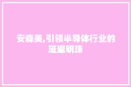 安森美,引领半导体行业的璀璨明珠 SEO教程
