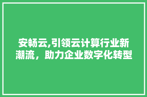 安畅云,引领云计算行业新潮流，助力企业数字化转型