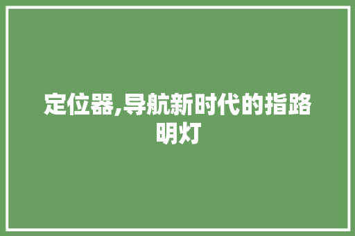 定位器,导航新时代的指路明灯