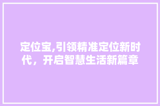 定位宝,引领精准定位新时代，开启智慧生活新篇章