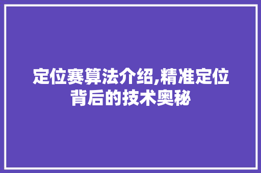 定位赛算法介绍,精准定位背后的技术奥秘