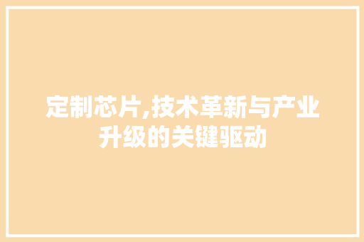 定制芯片,技术革新与产业升级的关键驱动