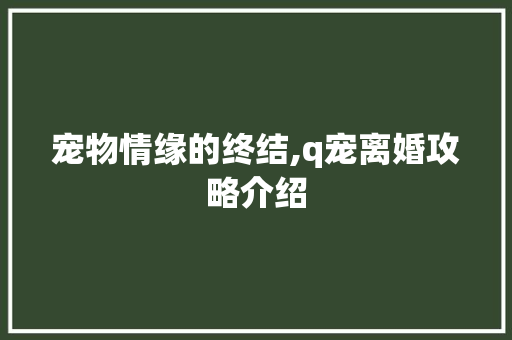 宠物情缘的终结,q宠离婚攻略介绍