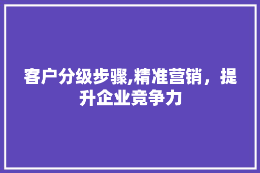 客户分级步骤,精准营销，提升企业竞争力